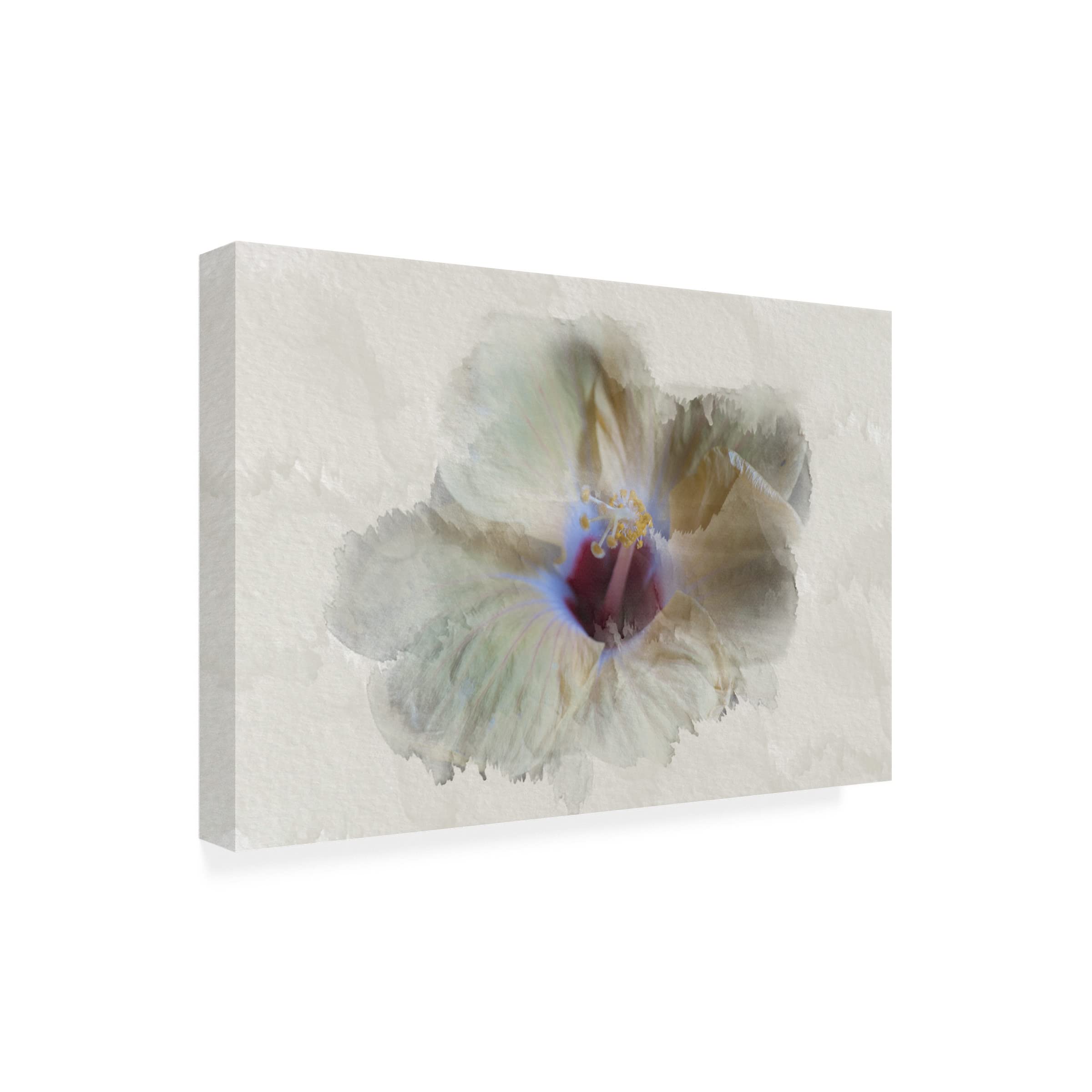 Lori Hutchison 'Yellow Wing Hibiscus' Canvas Wall Art Print - Vibrant Floral Home Decor for Living Room, Bedroom & Office