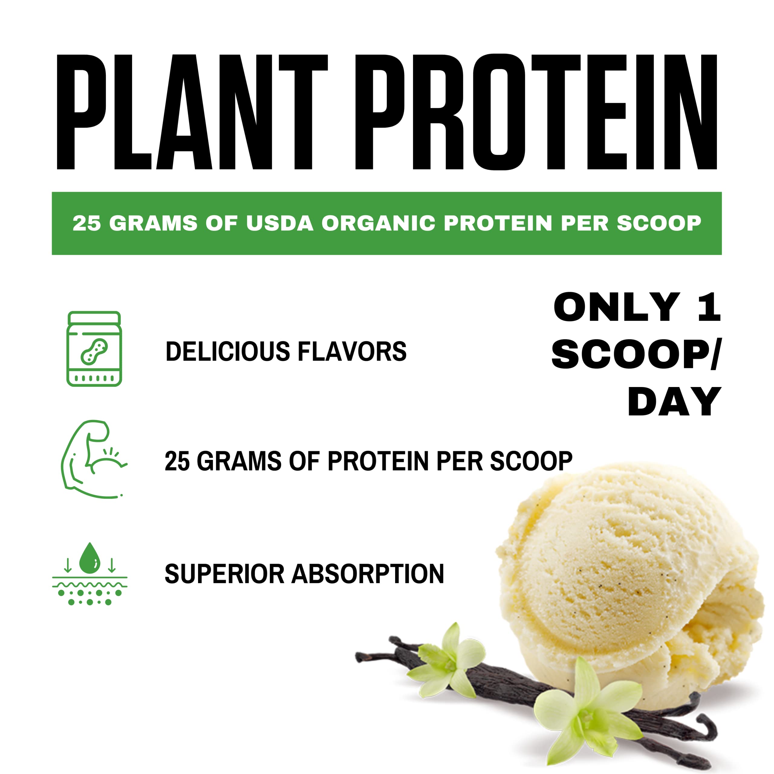 Organic Plant Protein Powder - Vanilla Ice Cream Flavor (20 Servings) | USDA Certified, Vegan, Gluten-Free, Dairy-Free Protein Supplement for Smoothies, Baking & Post-Workout Recovery