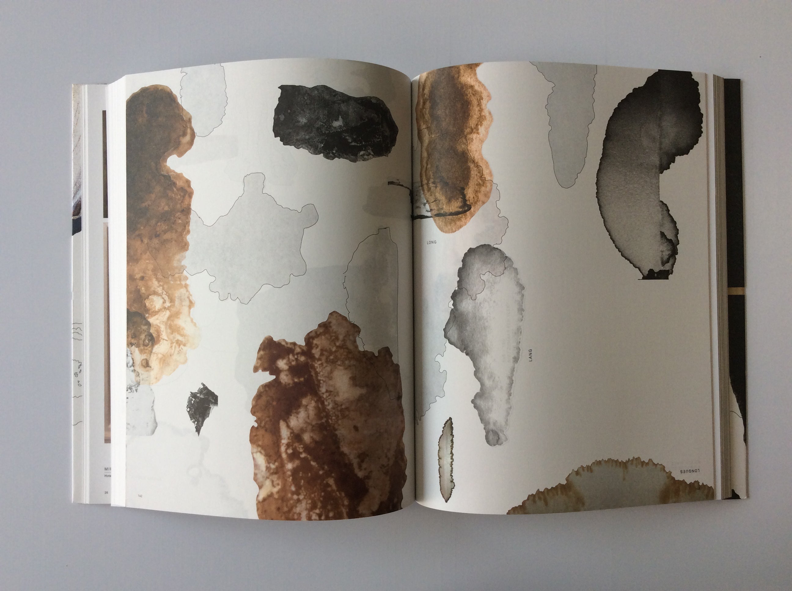 The Living Surface: A Unique Biology Book Exploring Stains & Microbial Life - Perfect for Science Enthusiasts & Classroom Learning