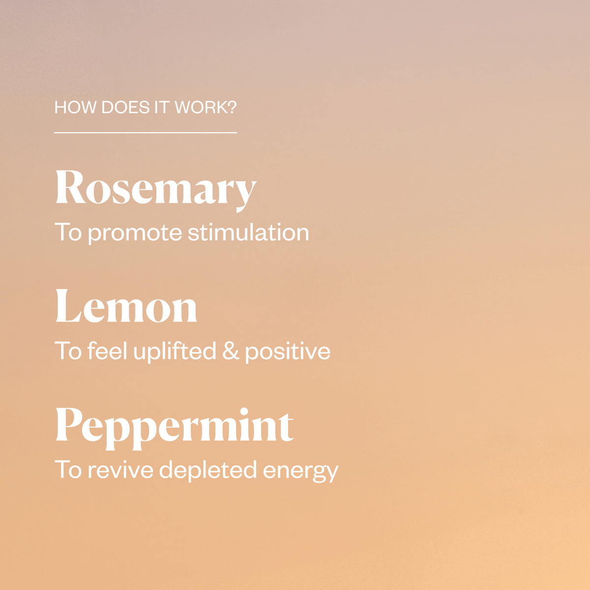 Energy Revitalizing Duo - Natural Energy Booster & Vitality Supplement for Men & Women - Perfect for Workouts, Focus & Daily Energy Support