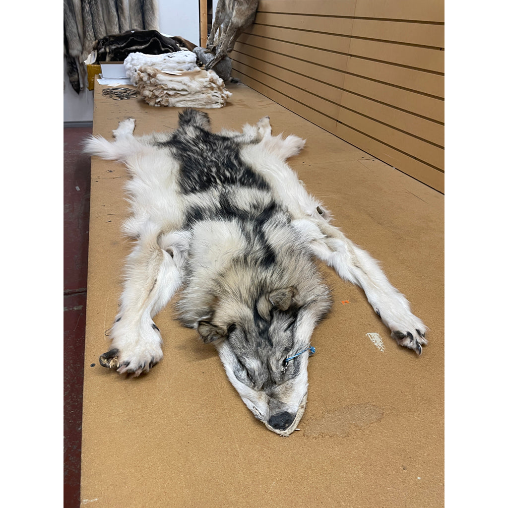 81 Inches Timber Wolf Plush Stuffed Animal - Soft and Cuddly Giant Wolf Toy for Kids, Bedroom Decor, Nursery Gift, and Themed Party Decoration
