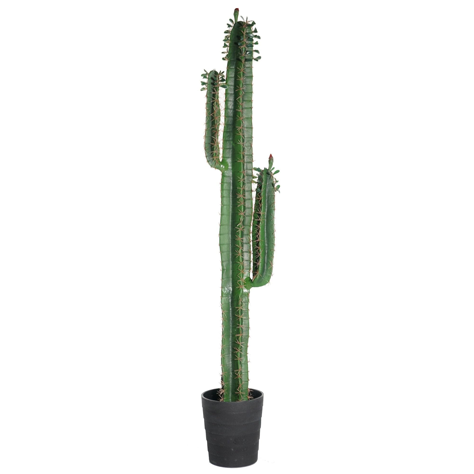 5' Tall Artificial Column Cactus Plant in Pot - Green Fake Succulent for Home, Office & Desert Decor - Perfect for Living Room, Patio or Wedding Centerpiece
