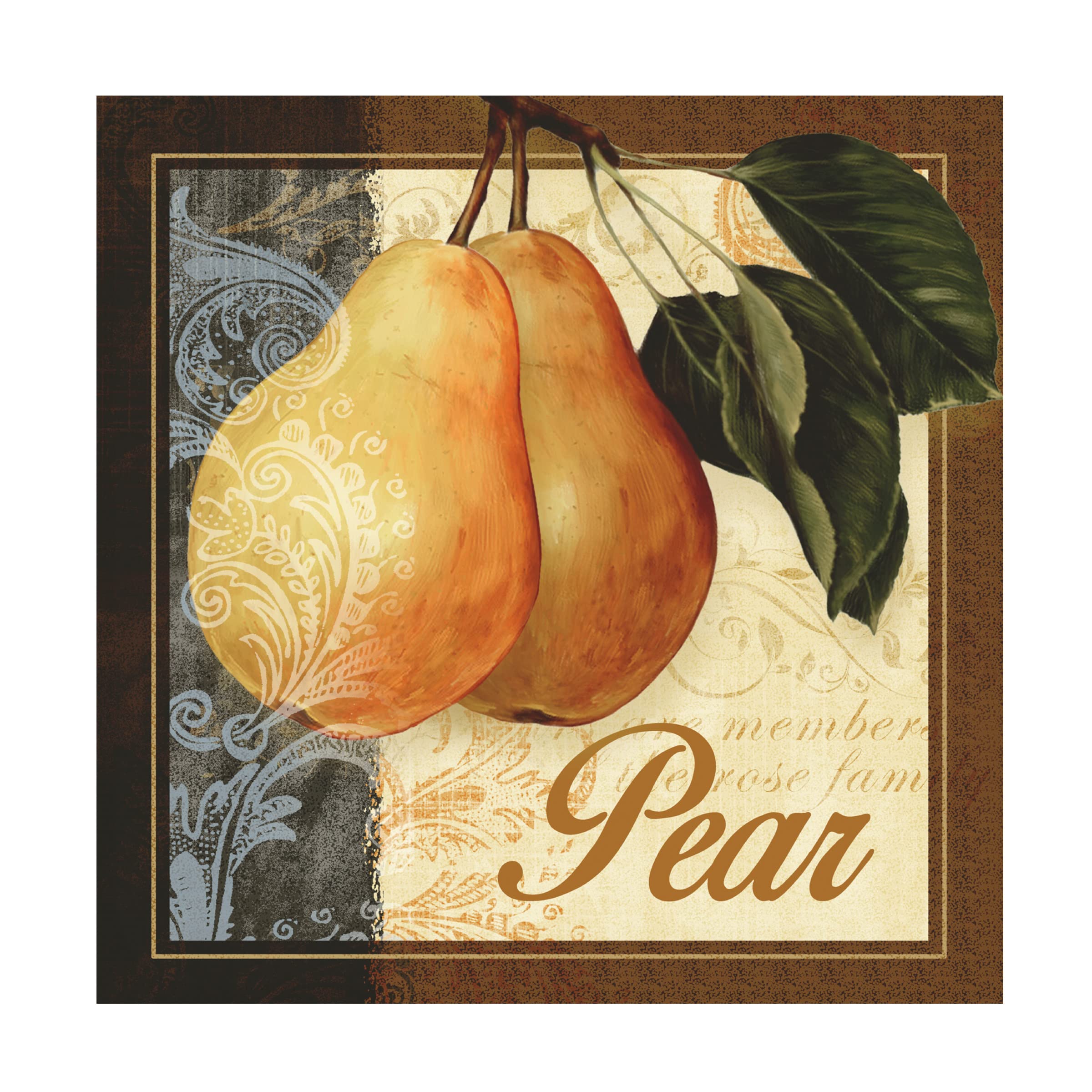 Abby White 'Fruit Illustration III' Canvas Wall Art Print - Modern Kitchen Decor, Dining Room Painting, Fruit Still Life Artwork for Home & Office