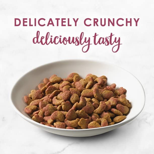 Purina Fancy Feast Gourmet Cat Food Variety Pack - Filet Mignon & Chicken Turkey Flavors | Wet Cat Food for Adult Cats | Perfect for Picky Eaters & Special Occasions