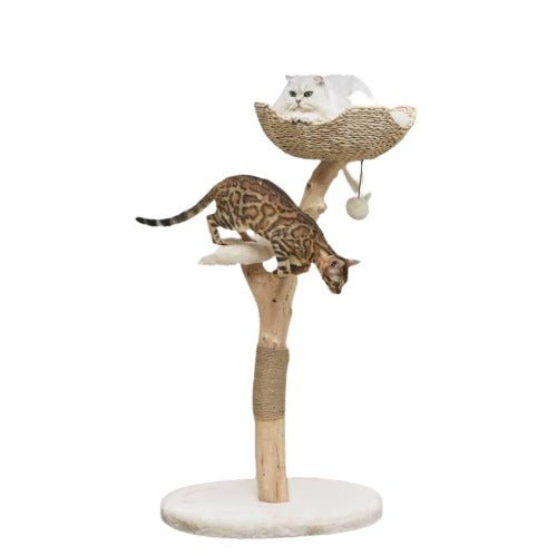 Premium Real Wood Cat Tree for Indoor Cats - Medium Size, Sturdy & Durable with Scratching Posts - Perfect for Play, Climbing & Relaxing in Home or Office
