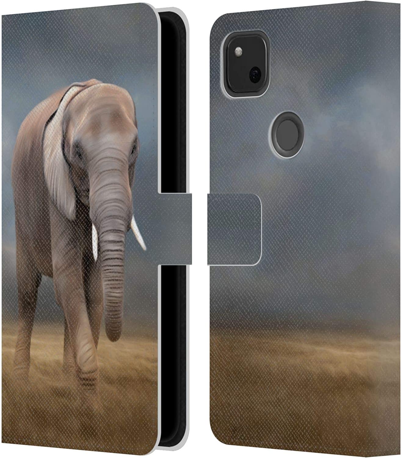 Elephant Tour