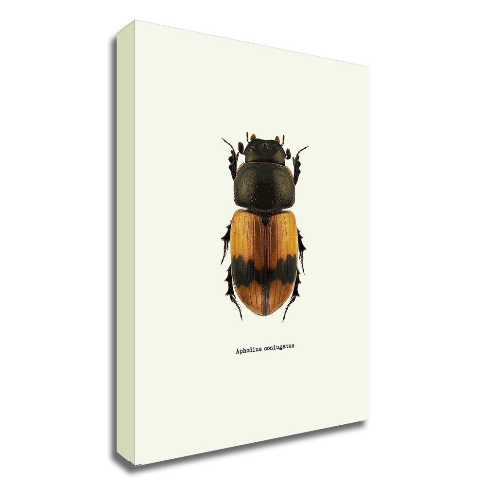 Beetle Orange by GraphINC - Premium Canvas Wall Art Print, Ready to Hang - Perfect for Living Room, Bedroom & Office Decor