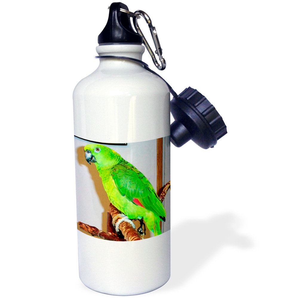 3Drose Yellow Nape Parrot Insulated Sports Water Bottle - 21oz Leakproof BPA-Free Stainless Steel Thermos for Gym, Hiking & Outdoor Activities - White
