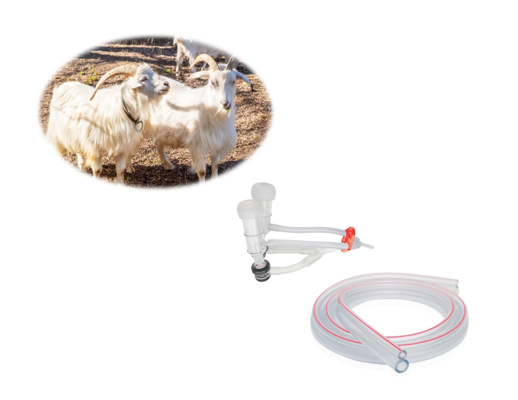 Melasty Dwarf Goat Milking Machine Cluster Group - Silicone Liners, Plastic Shells, Air Hoses & Automatic Valves for Efficient Milking | Includes 8ft Twin Hose (Milk/Pulsator) & Blind Stopper | Perfect for Small Dairy Farms & Homestead Goat Milking Operations