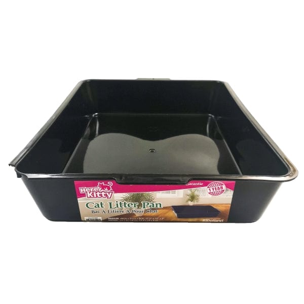 Medium Cat Litter Box for Indoor Cats - Durable Plastic Litter Pan with High Sides for Less Mess - Perfect for Kittens & Adult Cats in Homes & Apartments