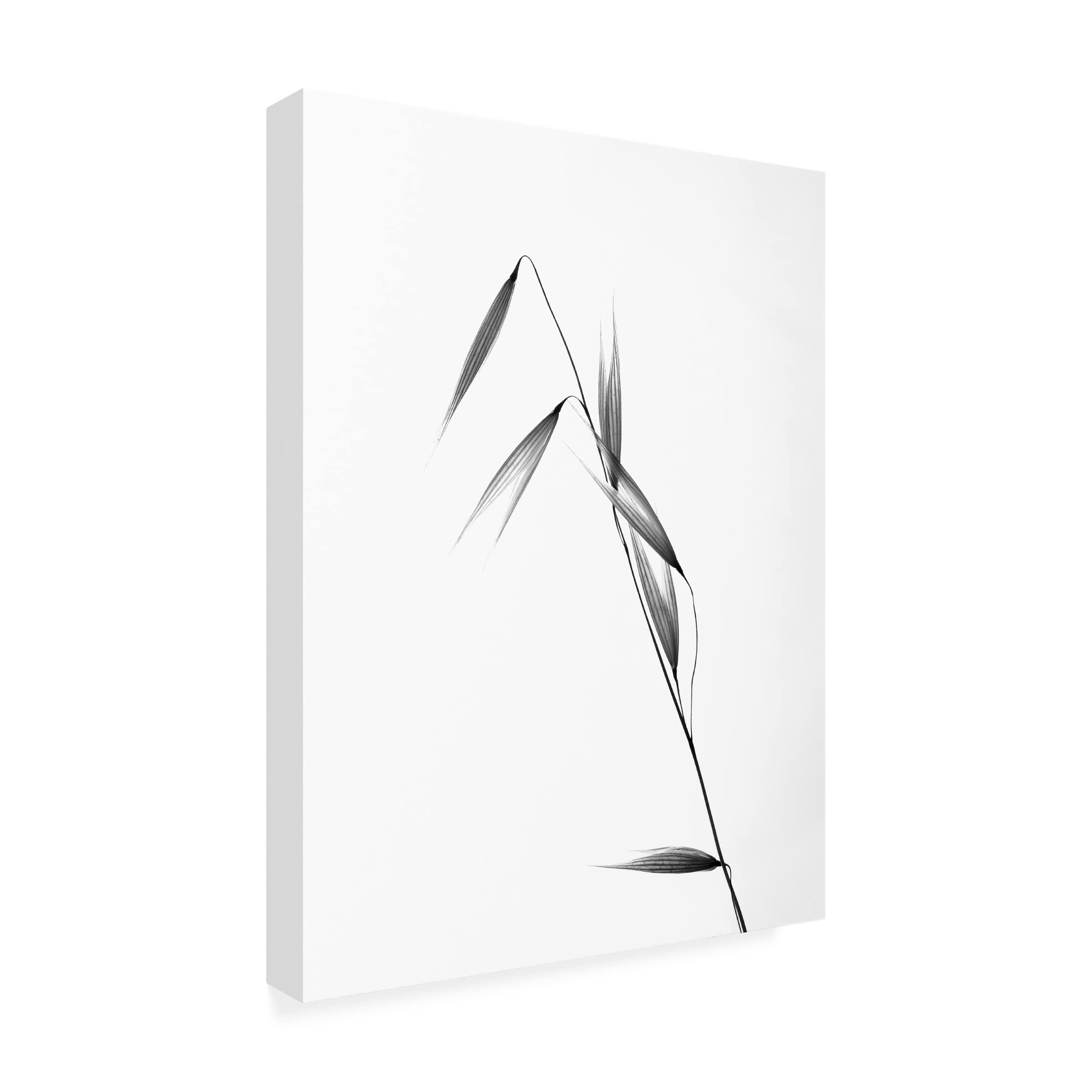 Carlos Gonzalez 'Siluetas' Canvas Wall Art - Modern Abstract Painting for Living Room, Bedroom & Office Decor | Trademark Fine Art Collection