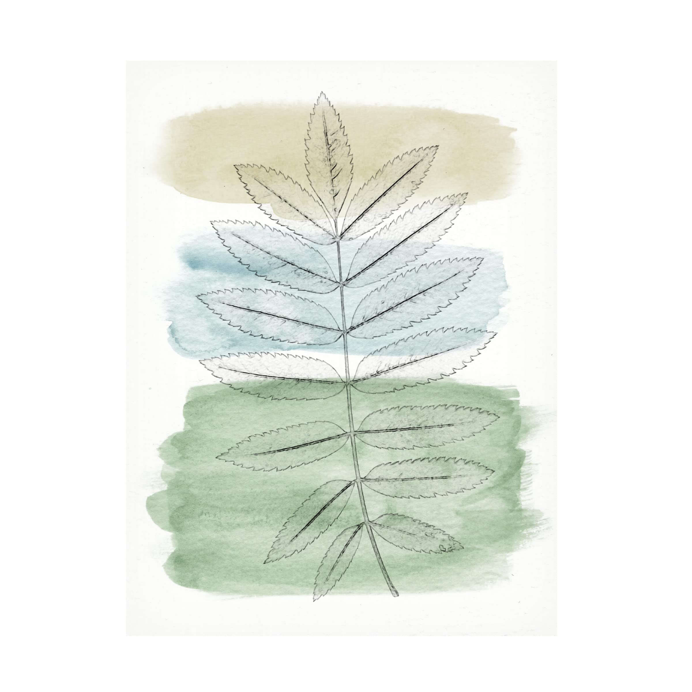 Trademark Fine Art 'Spring Branch II' Canvas Wall Art by Alonzo Saunders - Modern Floral Painting for Living Room, Bedroom & Office Decor