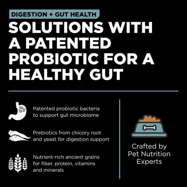 Go! Solutions Digestion + Gut Health Dry Dog Food - Chicken Recipe with Ancient Grains for Sensitive Stomach & Digestive Support | Perfect for Adult Dogs with Food Allergies or IBS