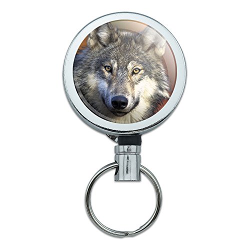 Wolf Gray With Fall Background