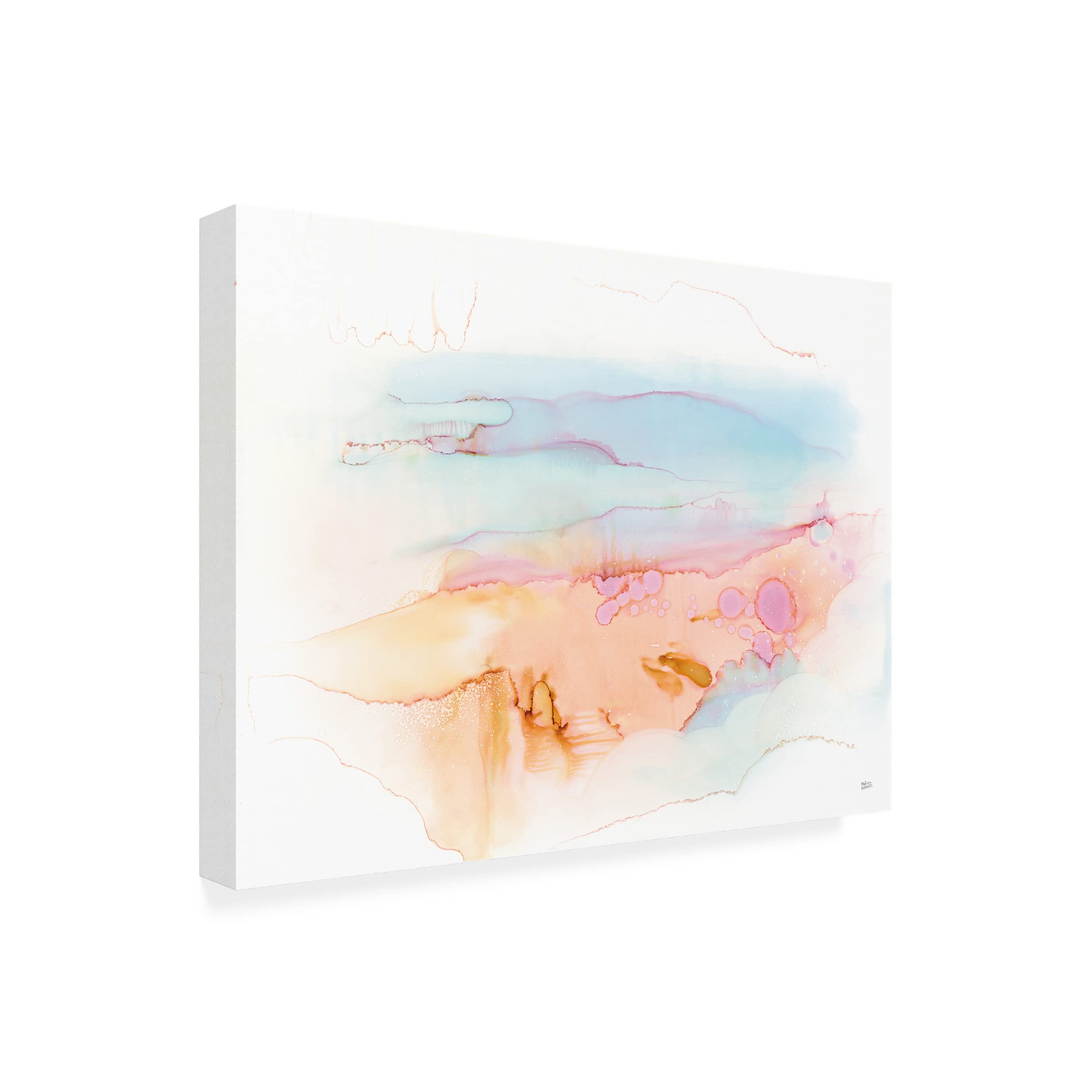 Trademark Fine Art 'Mist in the Morning' Canvas Wall Art Print by Melissa Averinos - Perfect for Living Room, Bedroom & Office Decor