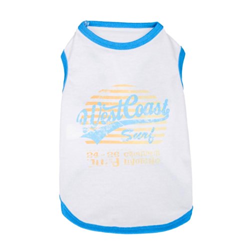 Pack of 1 - Surfer