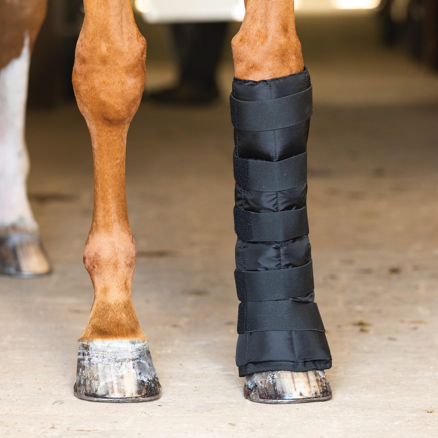 Evercool Full Size Black Horse Leg and Hoof Wrap - Cold Therapy Support for Swelling Relief & Inflammation Prevention - Ideal for Post-Workout Recovery, Injury Treatment, and Winter Protection
