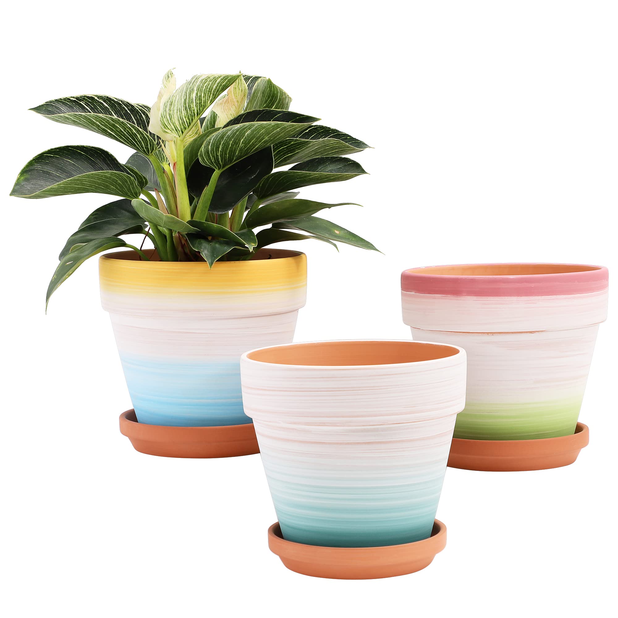 YISHANG 8 Inch Clay Plant Pots with Saucers - Set of 3 Large Terracotta Flower Pots with Drainage Holes for Indoor/Outdoor Plants, Succulents, Herbs - Perfect for Home Garden, Patio, and Balcony Decor
