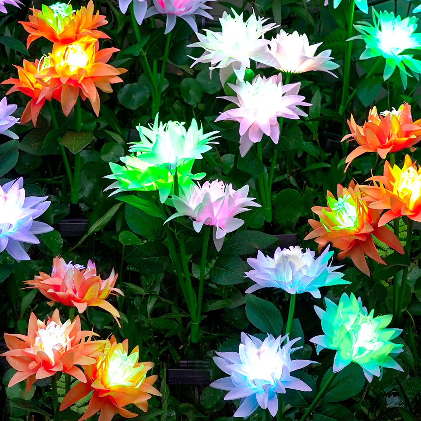 TONULAX Upgraded Solar Garden Lights - Color Changing Cineraria Flower Lights for Outdoor Patio, Yard, Pathway Decor - Waterproof Solar Powered LED Lights - Perfect Gift for Mother, Wife, Christmas (2 Pack) - Ideal for Garden, Lawn, Backyard, Deck Lighting at Night