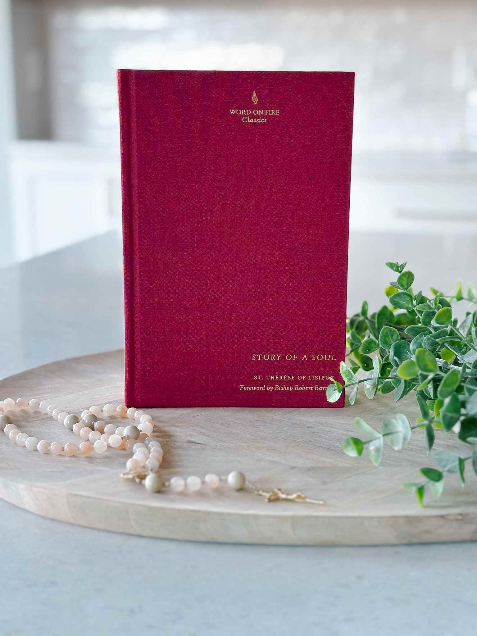 Story of a Soul Book 1 - Inspirational Spiritual Reading for Personal Growth & Meditation | Perfect for Daily Devotion & Book Club Discussions