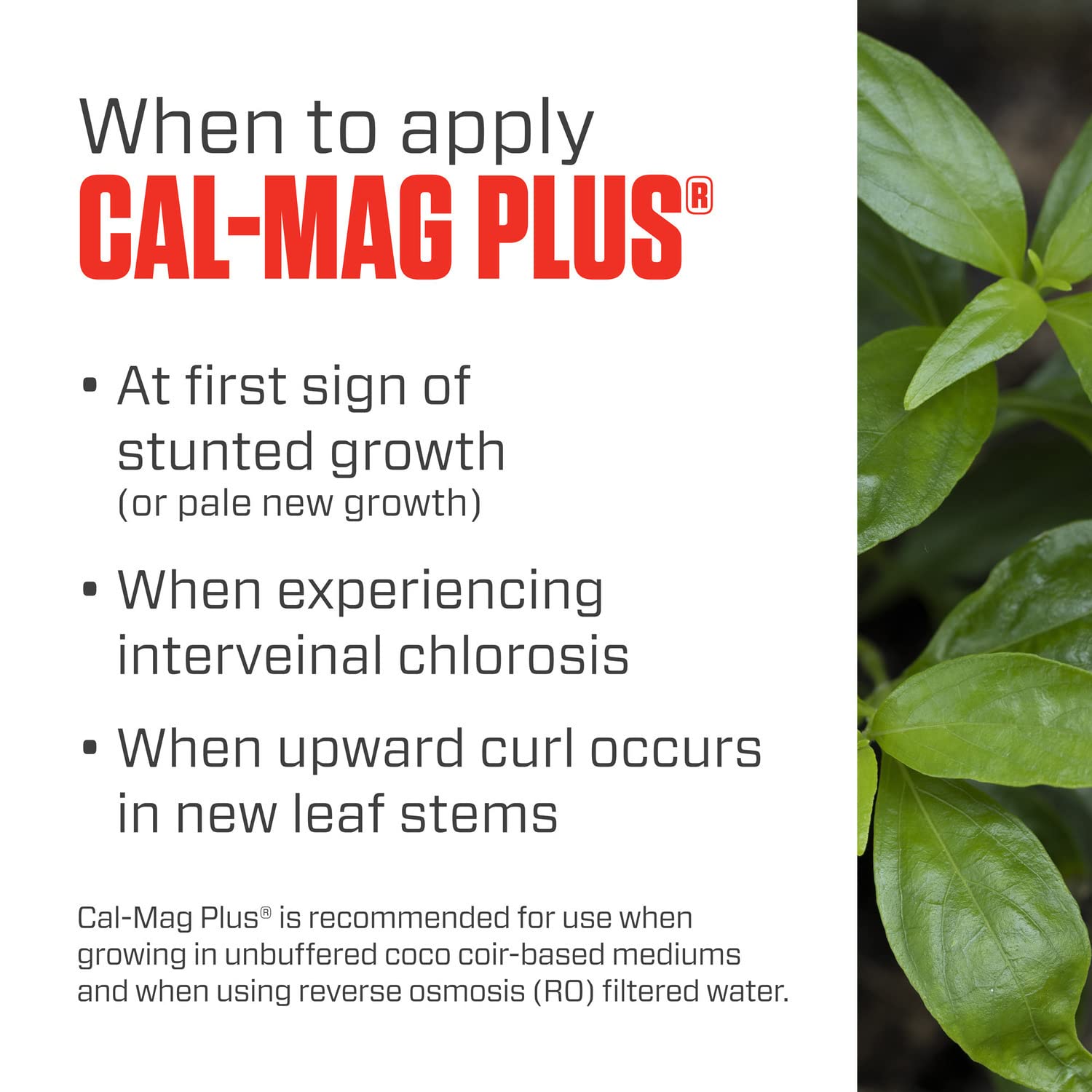 Botanicare Cal-Mag Plus - Calcium, Magnesium & Iron Plant Nutrient Supplement | Corrects Deficiencies | 2-0-0 NPK Formula | Quart Size | Ideal for Hydroponics, Soil & Foliar Spray Applications