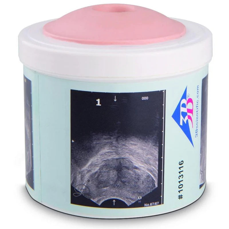 Prostate Examination Trainer Kit - Medical Teaching Model for Doctors & Students - Realistic Practice Tool for Rectal Exams & Prostate Checks - Perfect for Medical Training & Clinical Practice
