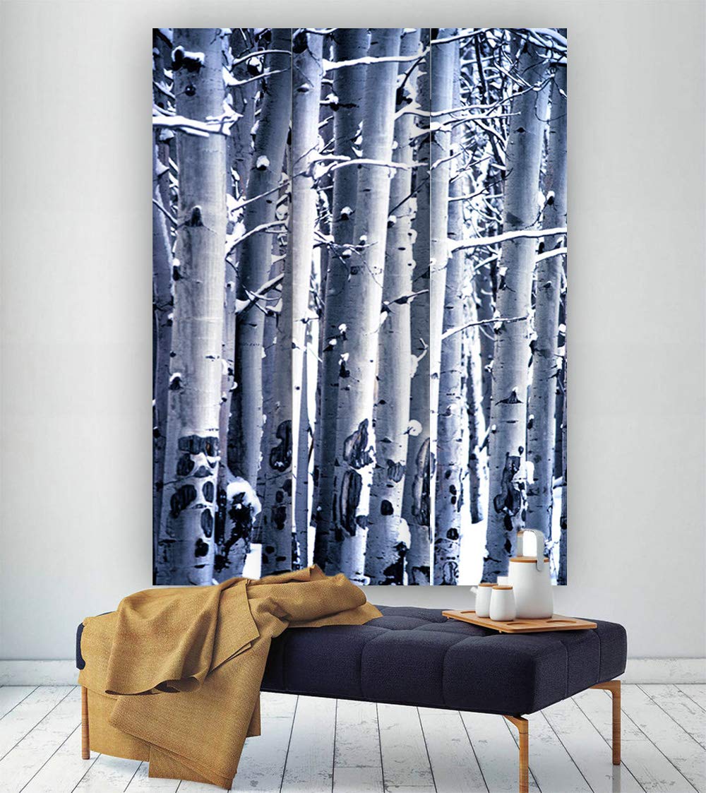 Stylish Birch Wood Room Divider Screen - Handcrafted Privacy Partition for Home, Office & Studio Decor | Perfect for Living Rooms, Bedrooms & Workspaces