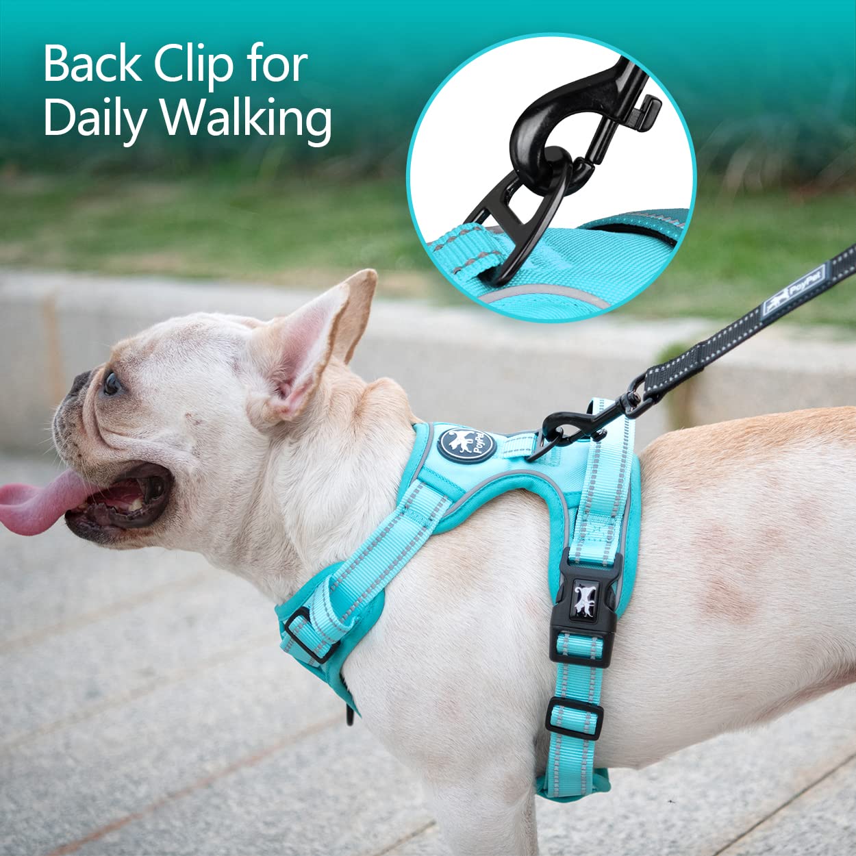 PoyPet No Pull Dog Harness - Reflective Adjustable Pet Vest with Padded Handle for Small Medium Large Dogs - Mint Blue with Matching Trim (Size L) | Perfect for Walking, Training & Nighttime Safety