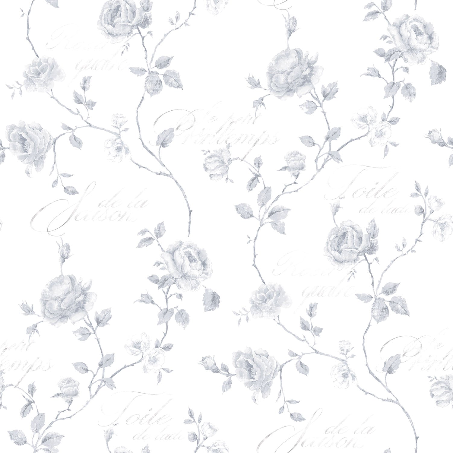 Vintage Roses Collection - Sample Calligraphy Rose Grey Wallpaper for Bedroom & Living Room Decor - Floral Peel and Stick Wallpaper for Home Renovation