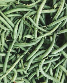 String Bean Snap Bean