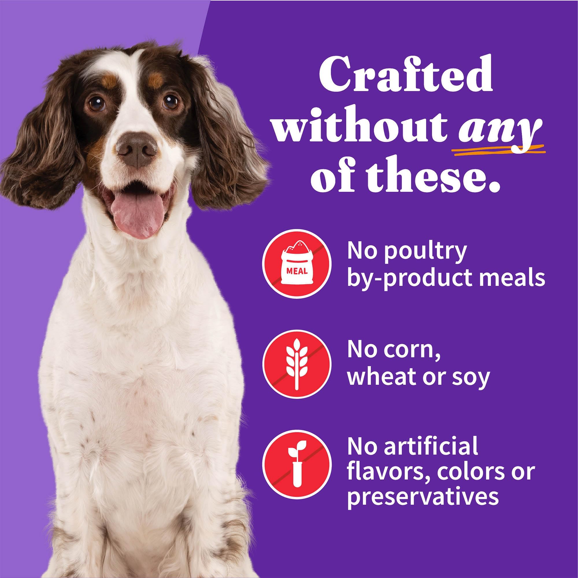 Premium Halo Wet Dog Food - Whole Beef Stew Recipe with Healthy Grains & Real Meat | High Protein Canned Dog Food for Adult Dogs | Perfect as Meal or Food Topper | 13.2 Oz Can (Pack of 6) | Ideal for Picky Eaters & Senior Dogs