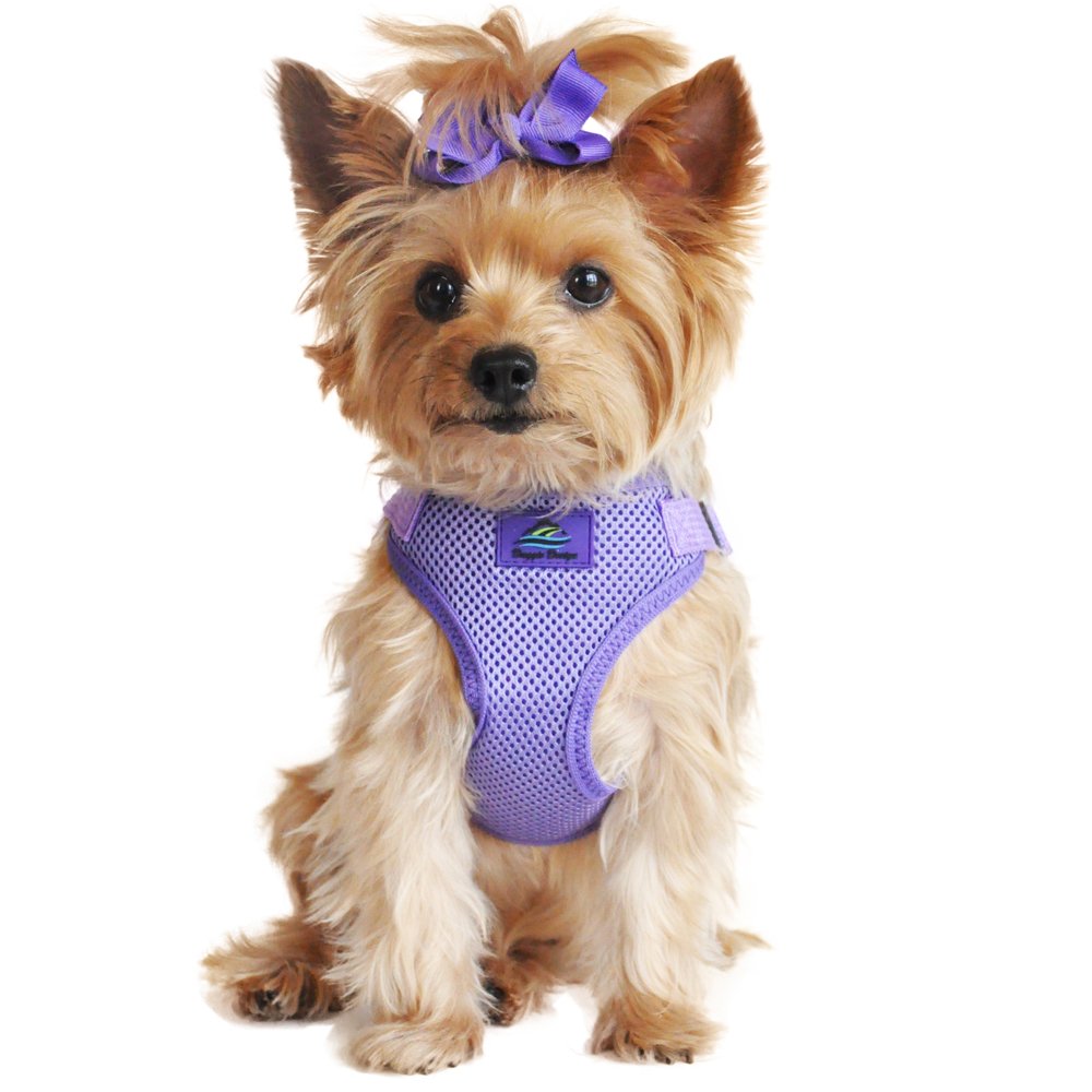 Doggie Design No-Choke Dog Harness - Breathable Mesh Polyester Pet Vest, Easy Step-in Design for Small to Medium Dogs - Paisley Purple - Size M | Perfect for Walking, Hiking & Outdoor Adventures