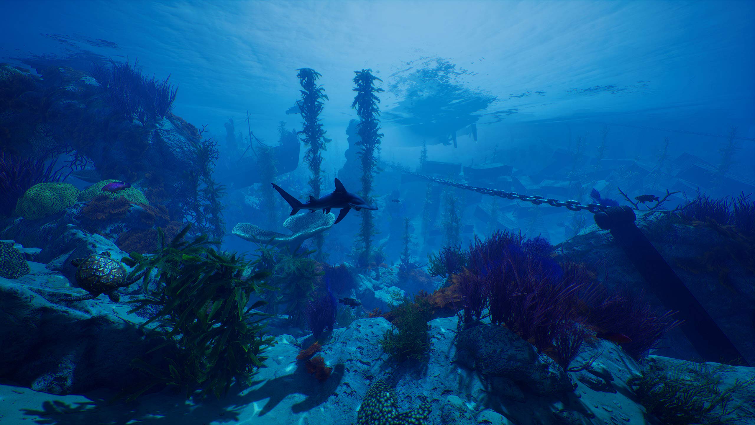 Maneater - PS4 Game for PlayStation 4 | Action RPG Underwater Adventure | Perfect for Shark Lovers & Open-World Gamers | Great for Single-Player Story Mode & Casual Gaming Sessions