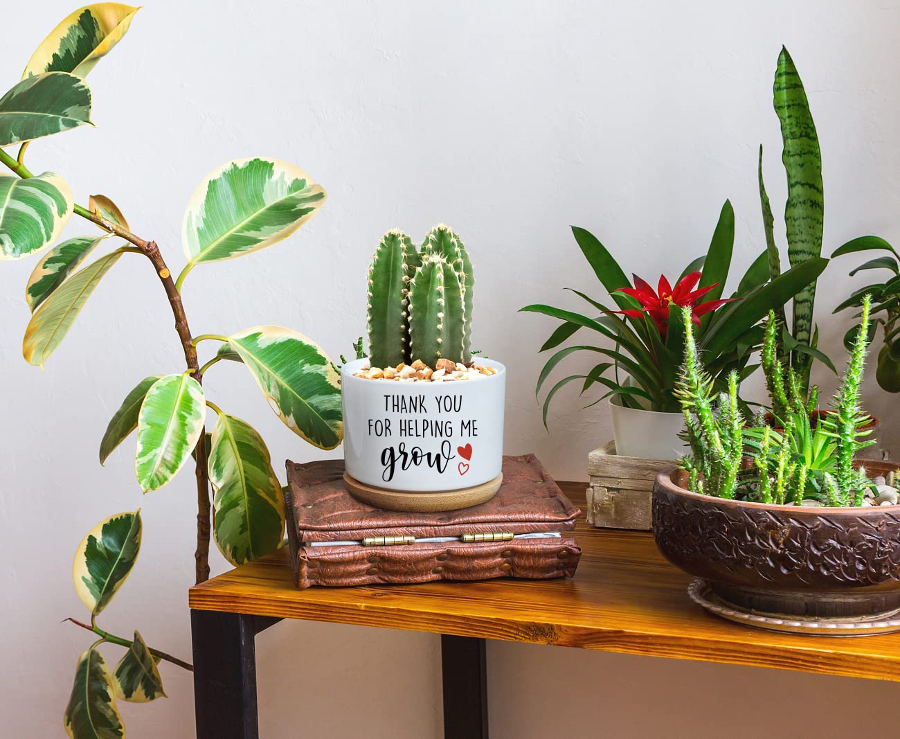 Funny Ceramic Succulent Cactus Planter Pot with Bamboo Saucer - Cute Office Desk Decor for Teachers, Mom, Grandma | Perfect Appreciation Gift for Coworkers, Birthday, Mother's Day | Ideal for Small Plants, Air Purifying Succulents & Home Garden Decor (Plant Not Included)