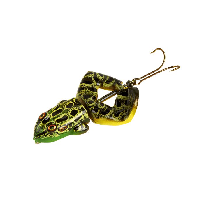 Bullfrog