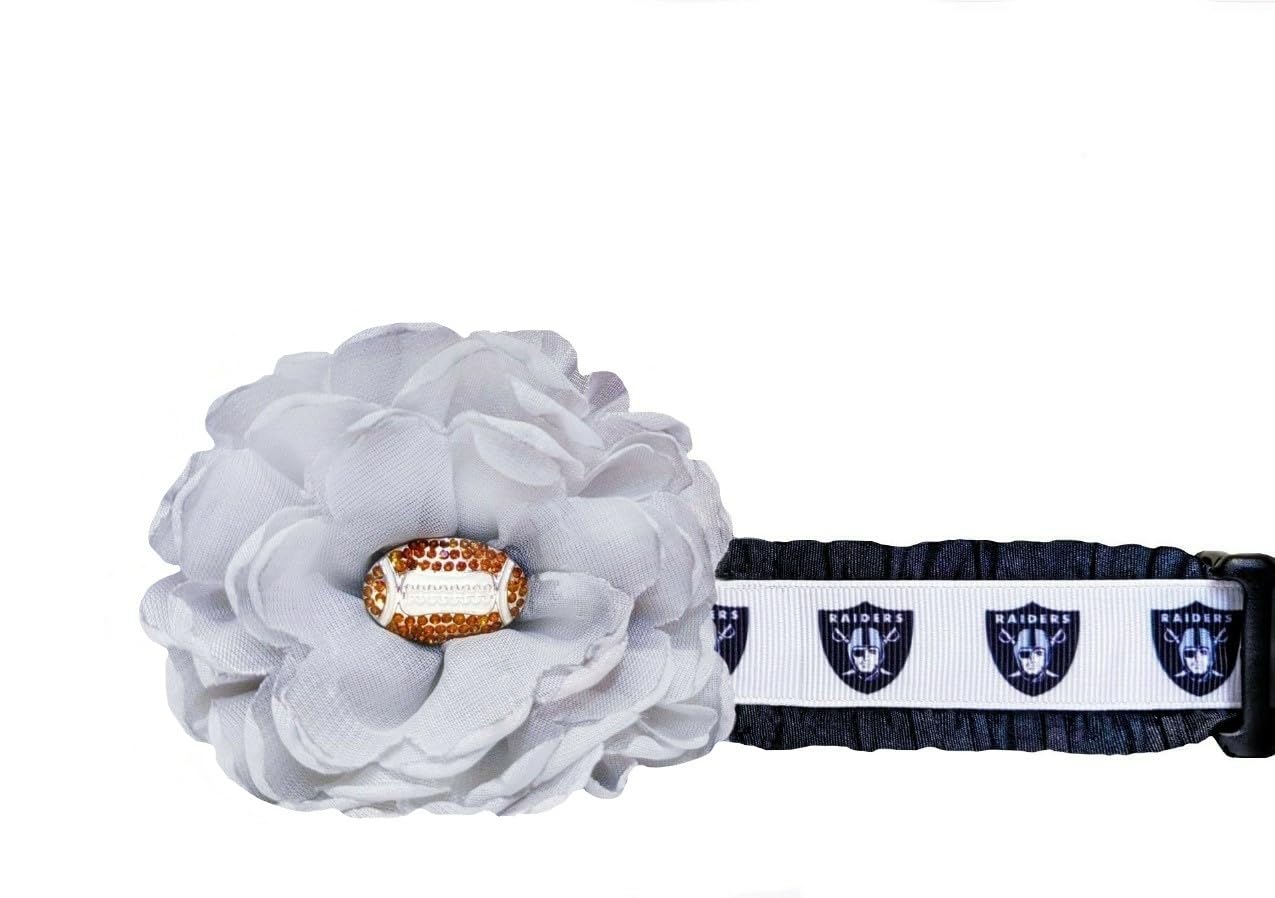 Premium Raiders Dog Collar - Durable Nylon Pet Collar with Adjustable Buckle for Small Medium Large Dogs - Perfect for Training, Walking & Outdoor Adventures