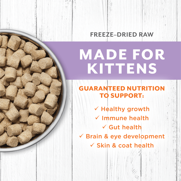 Instinct Raw Longevity Chicken Recipe 100% Freeze Dried Kitten Food - 9.5oz | High Protein Grain-Free Cat Food for Healthy Growth | Perfect for Picky Eaters & Indoor Kittens