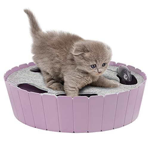 Taro Purple