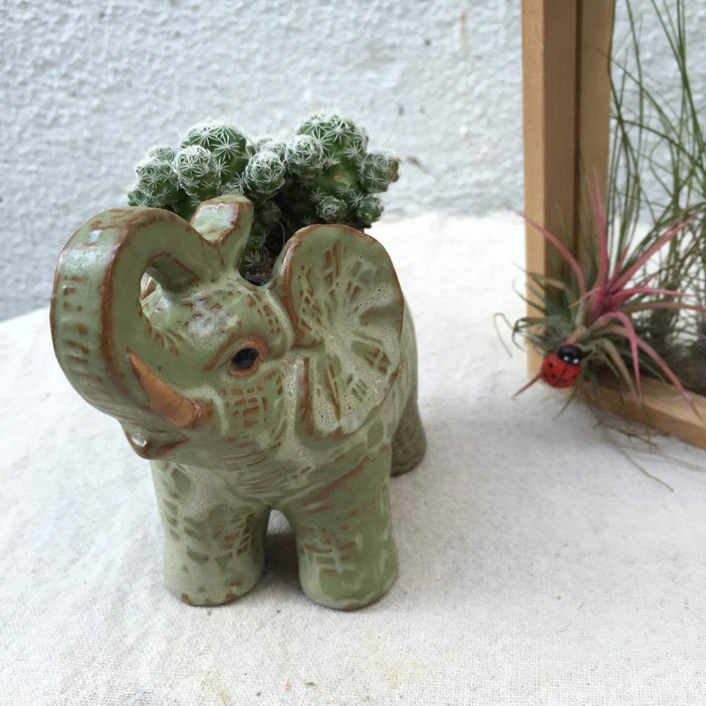 DOITOOL Stylish Ceramic Succulent Planter - Artistic Home Decor Flower Pot for Indoor Plants, Perfect for Living Room, Office, and Garden Decor