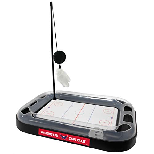Washington Capitals