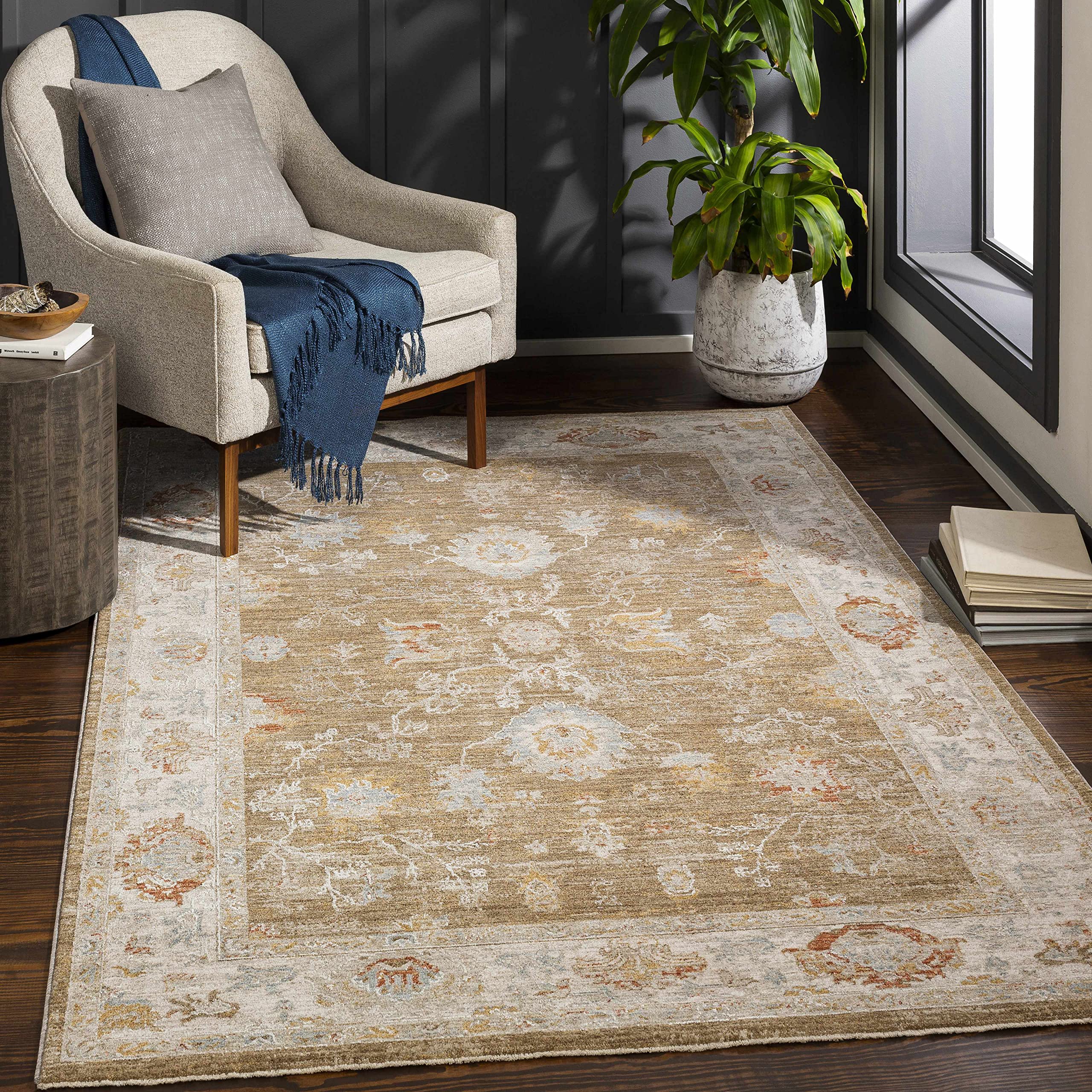 Hauteloom Rangeville Soft Area Rug for Living Room & Bedroom - 2'7