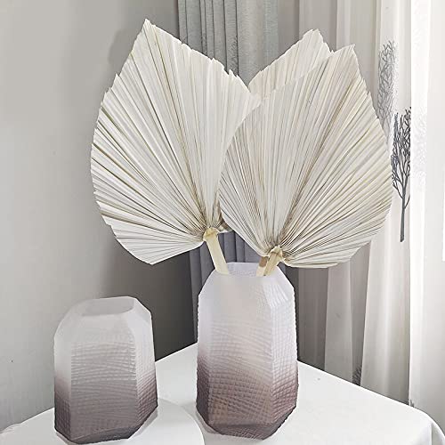 Natural Dried Palm Leaf Fan Decor - Handmade Dried Flowers for Wall Hanging, Wedding Arch, Party & Window Decoration - Boho Home Decor, Tropical Reception Decorations