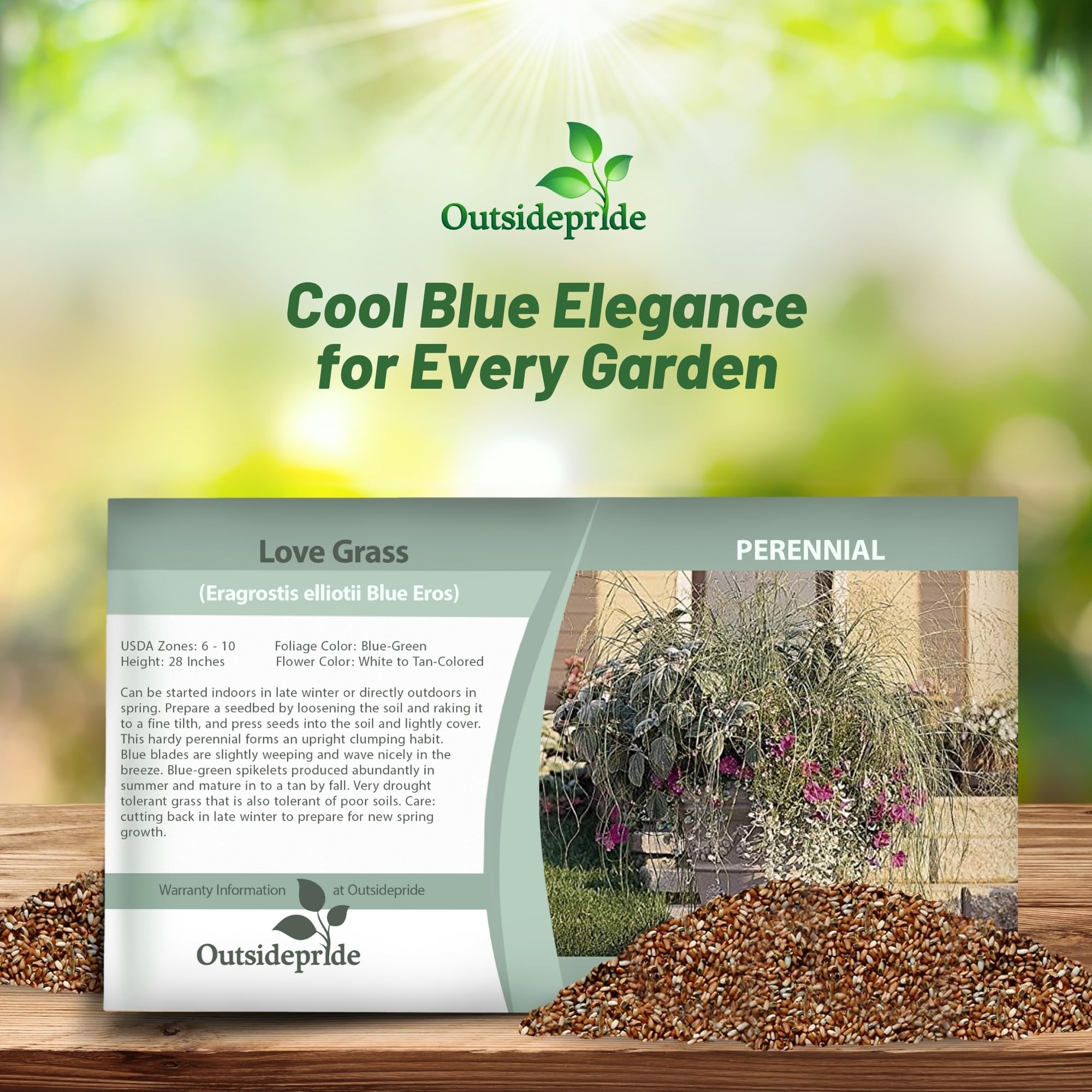 Outsidepride 1000 Seeds - Eragrostis Elliotii Blue Love Grass (Perennial Ornamental Grass) for Landscaping, Garden Borders & Drought-Tolerant Yards | Easy to Grow Flower Seeds for Home Gardeners