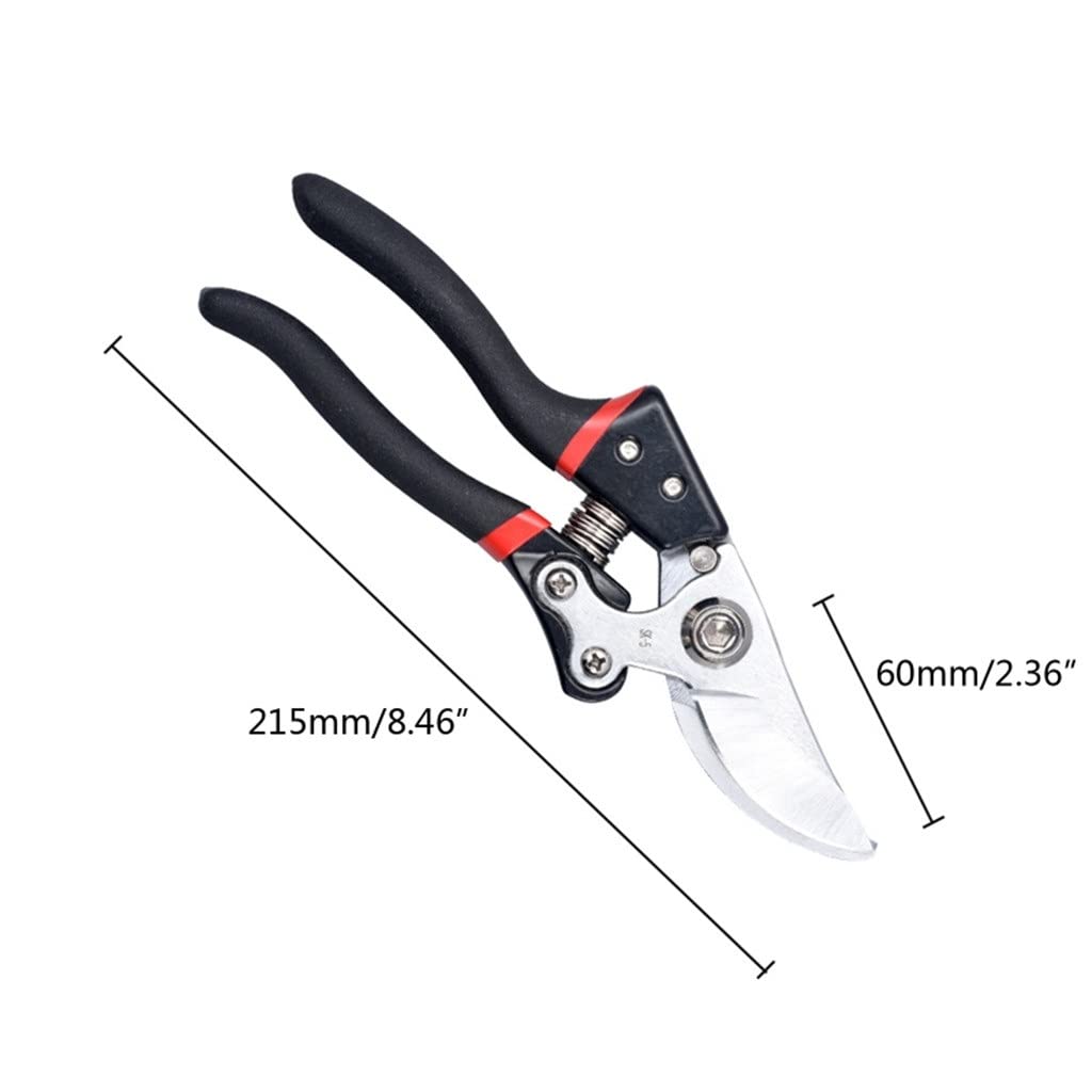 **Premium Garden Scissors - Heavy Duty Pruning Shears for Cutting Branches, Trimming Trees, and Harvesting Fruits & Flowers - Ideal for Farming, Potted Plants, and Home Gardening**
