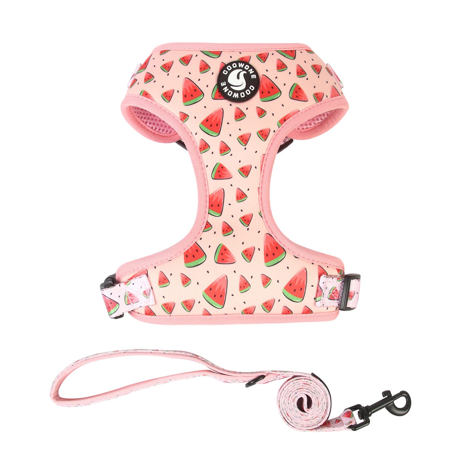 Coowone Adjustable Dog Harness and Leash Set - Soft Padded Vest Harness for Small, Medium & Large Dogs | Perfect for Walking, Training & Outdoor Adventures