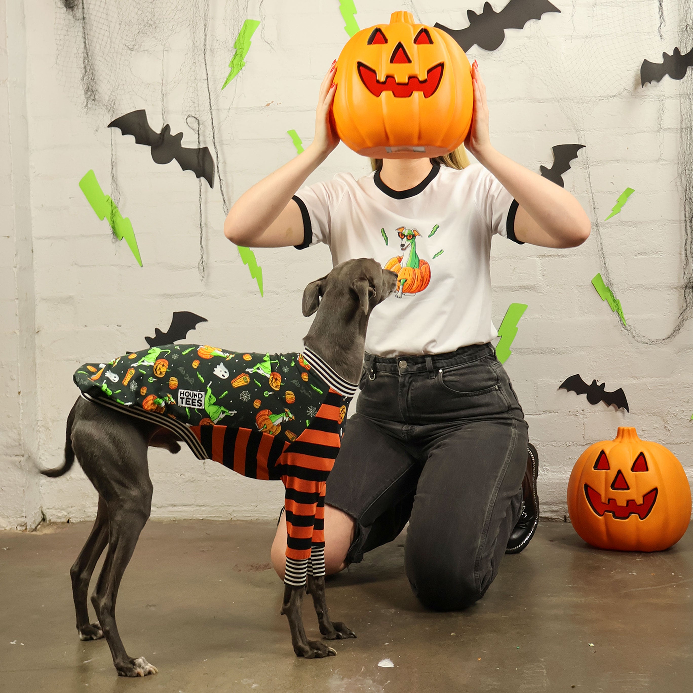 Pumpkin Head Whippet Dog Long Sleeve T-Shirt - Cute Hound Graphic Tee for Dog Lovers - Perfect for Halloween, Fall Outfits & Casual Wear