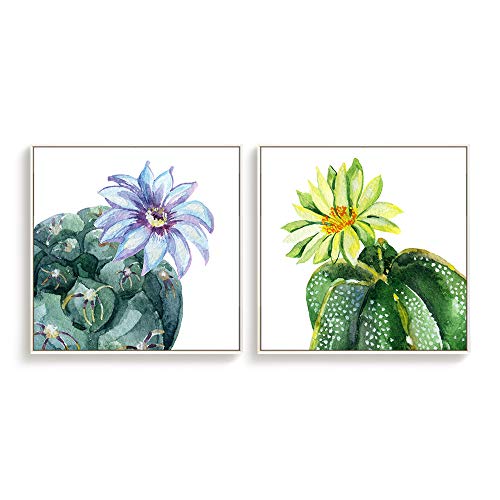 Cactus-s08