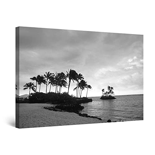 Black White Palms