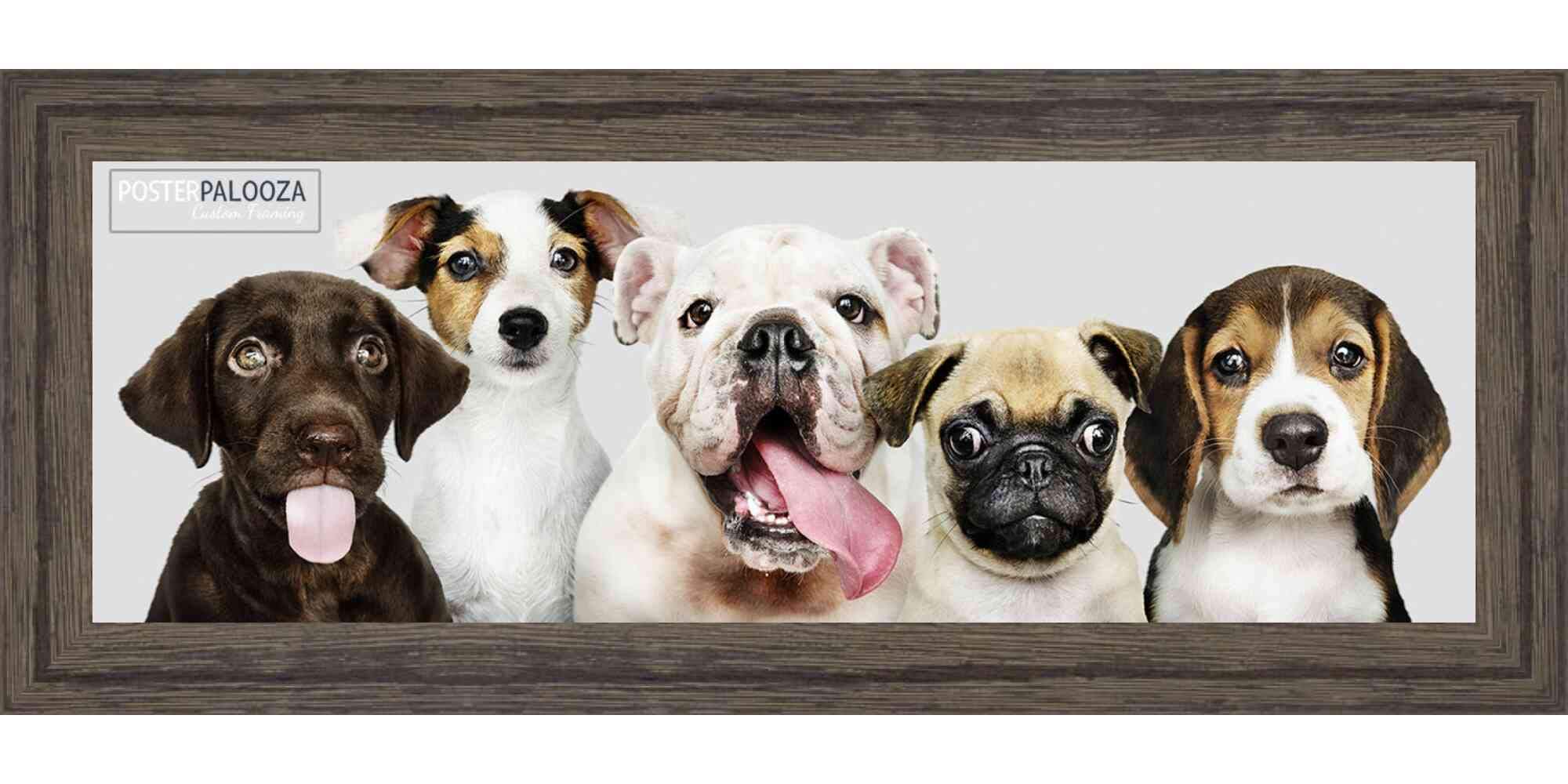 12x48 Rustic Dark Wood Picture Frame - Solid Wood Panoramic Photo Frame with UV Acrylic, Foam Backing & Hanging Hardware - Perfect for Wall Art, Home Decor, Office Display & Large Poster Framing