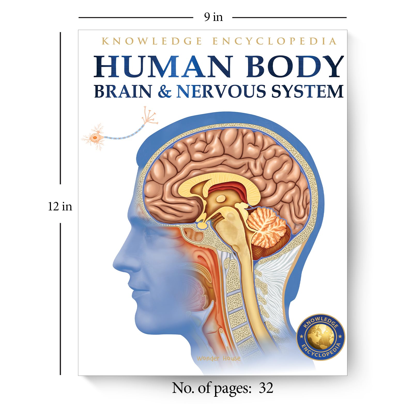 Human Body: Brain and Nervous System - Kids Educational Encyclopedia | Science Learning for Children | Perfect for Homeschooling & Classroom Use